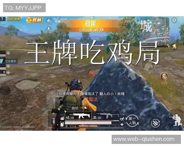 和平精英热议LNG状态引发争议玩家观点各异引发热烈讨论