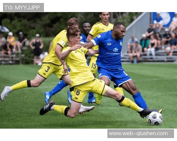 惠灵顿凤凰与中部海岸队员激战正酣精彩瞬间回顾与分析 惠灵顿凤凰与中部海岸队员激战正酣精彩瞬间回顾与分析